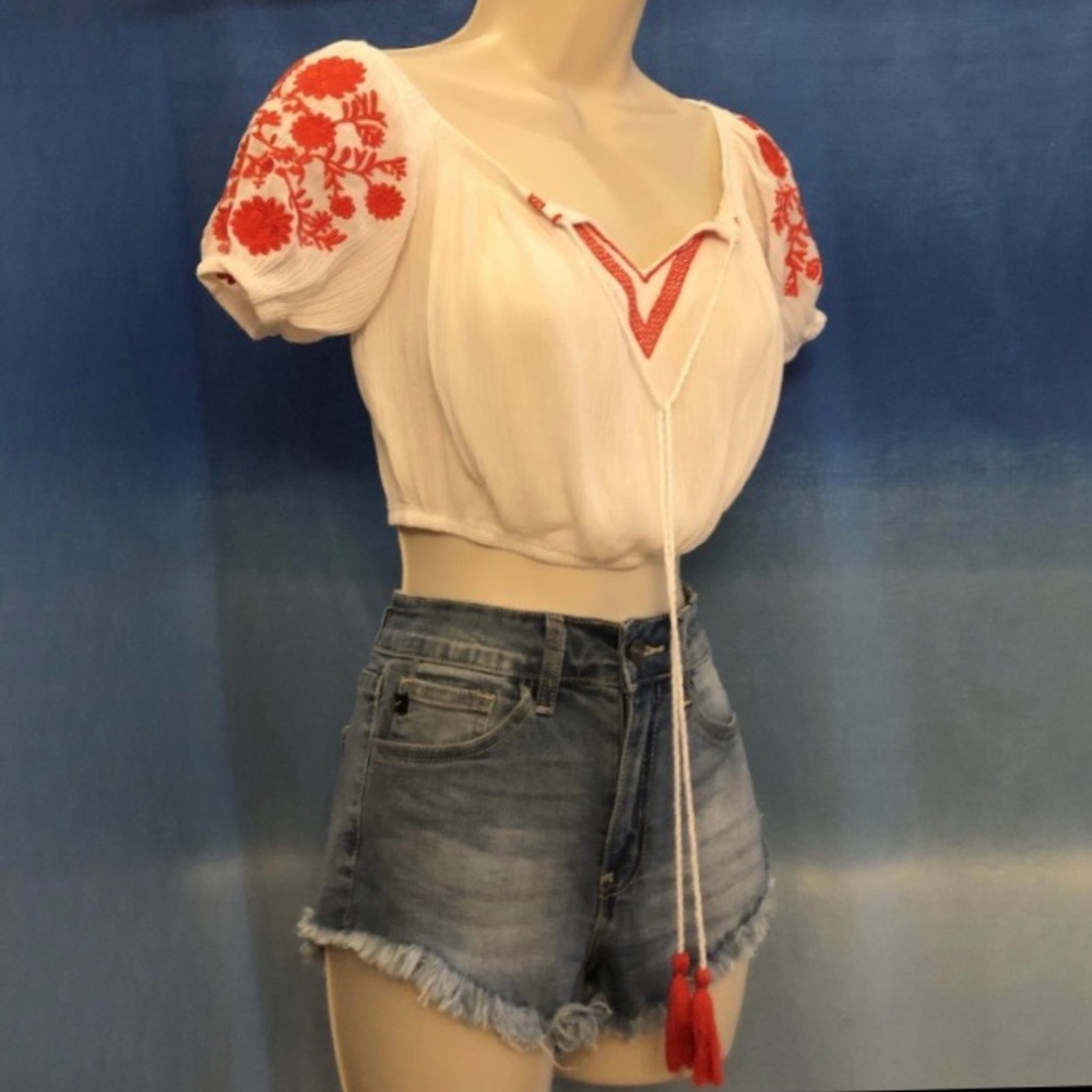 Embroided Crop Top
